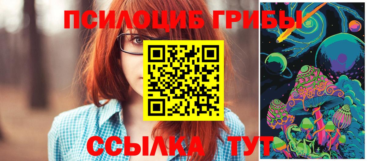 купить наркотики цена  Вход с VPN  Галлюциногенные грибы прущие грибы  Гатчина  Галлюциногенные грибы MAGIC MUSHROOMS 